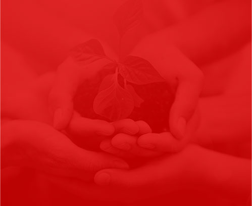 天津網(wǎng)絡公司