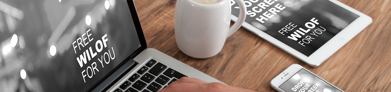 響應(yīng)式網(wǎng)站建設(shè)方案